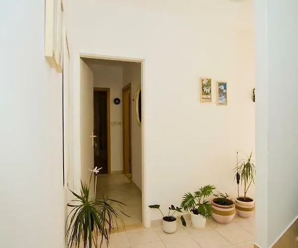 Sven Apartamento
