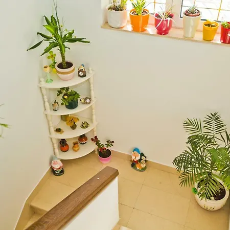Apartment Sven