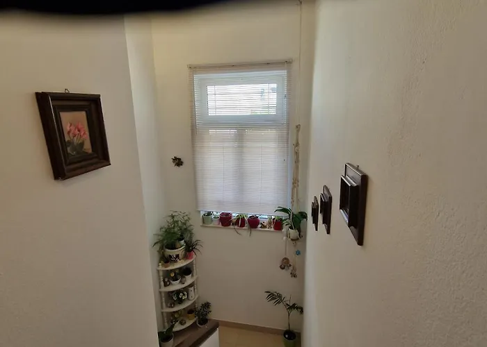 Sven Appartement